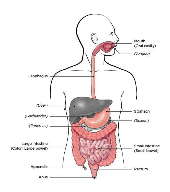 Rapid overview: Emergency management of severe upper GI bleeding in adults